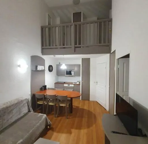 La Mongie Duplex 7 Personnes Daire *